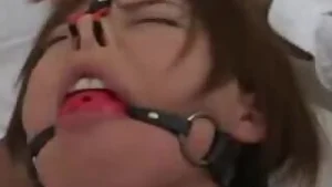 Japanese nose hook bondage and humiliation of asian ama